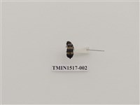 藏品(鞘翅目(三))的圖片